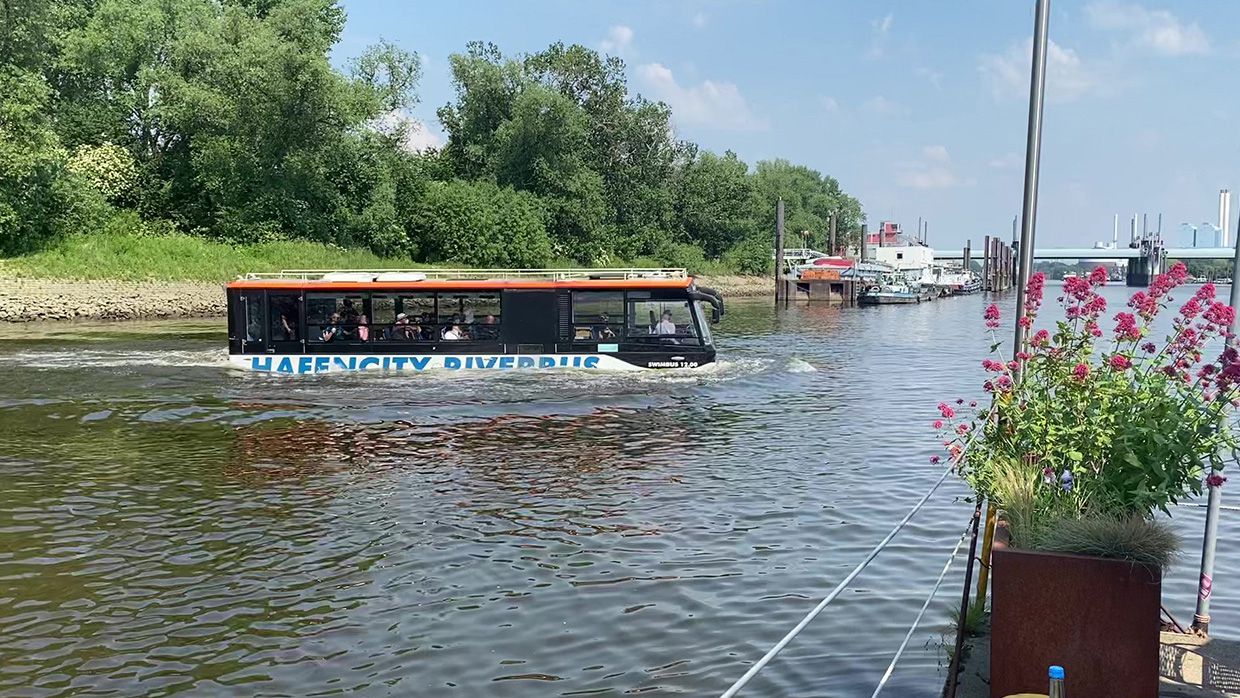 Hafencity Riverbus: Mit dem Bus durch die Elbe schippern