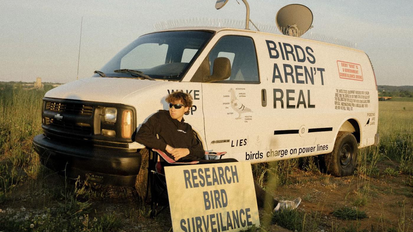 „Birds Aren't Real": Die große amerikanische Vogel-Verschwörung
