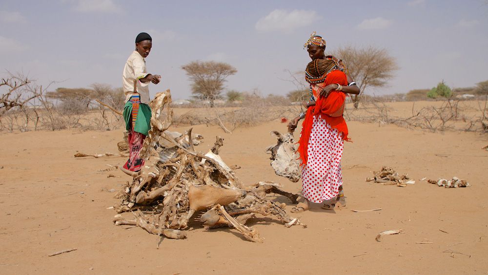 Schwerste Dürre seit Jahrzehnten in Kenia