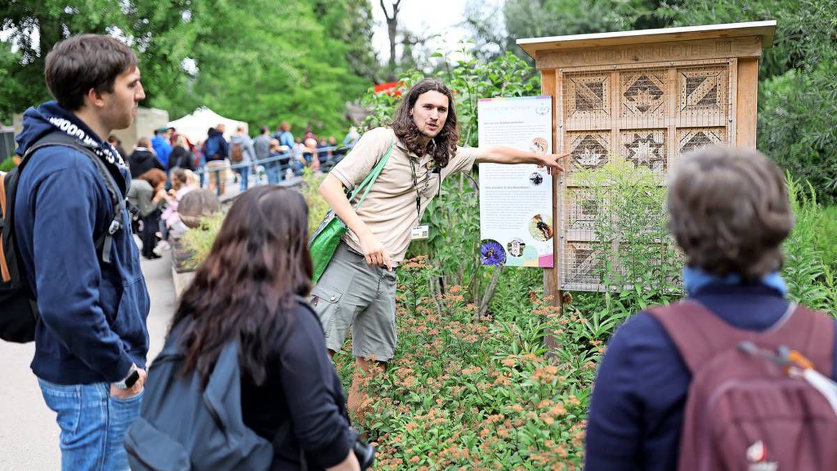 So schön waren die Entdeckertage Bienen 2022 im Zoo Leipzig