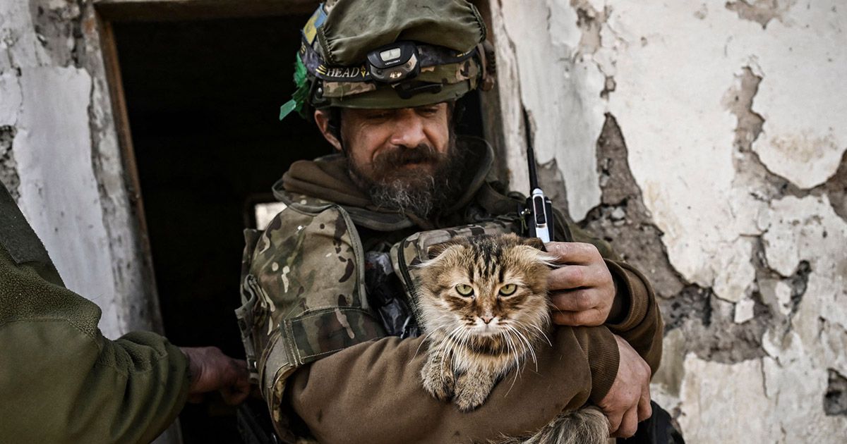 Wie der Mensch Tiere im Krieg einsetzt: Militärwesen