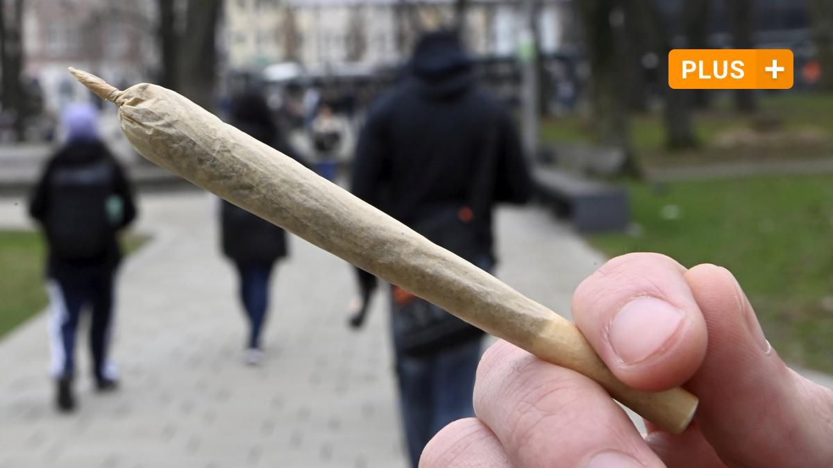 Wie wirkt sich das Cannabis-Gesetz auf Augsburg aus?