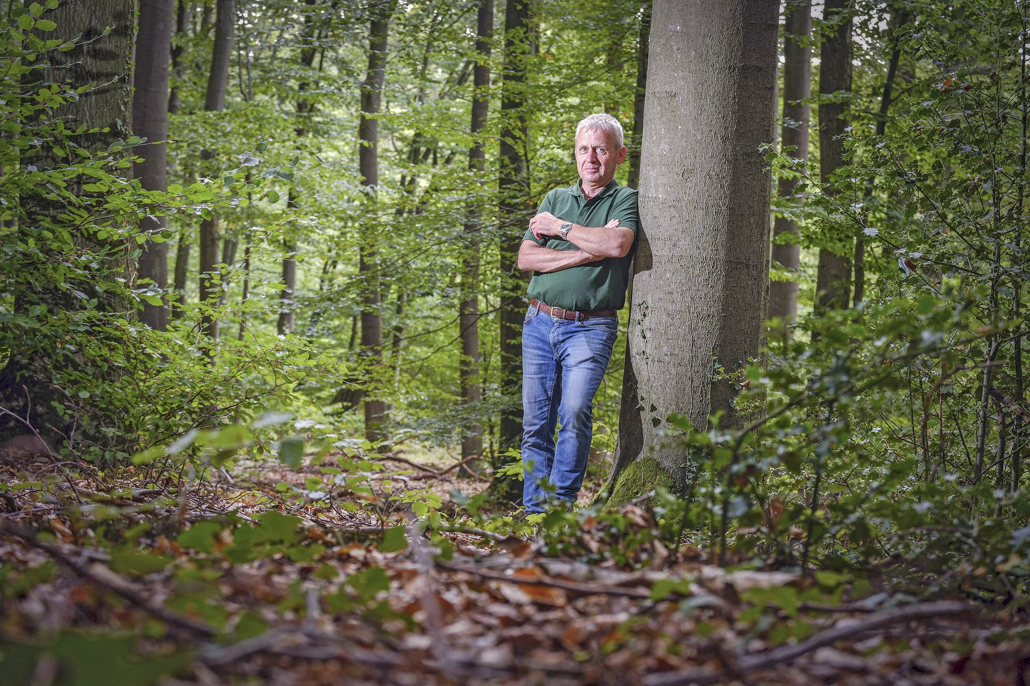 Was macht der Klimawandel mit dem Wald? Ein Ortsbesuch