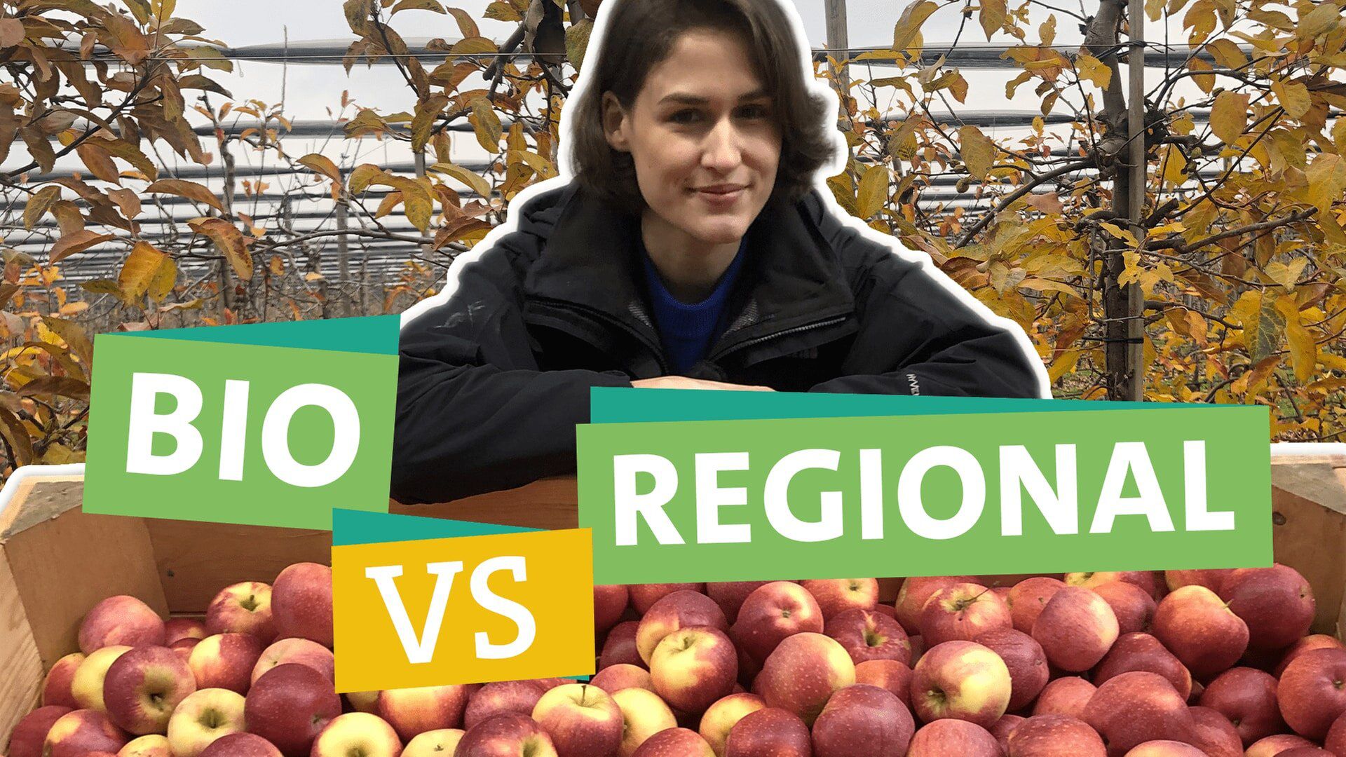 SWR Ökochecker: Äpfel - Regional vs. Bio aus Übersee