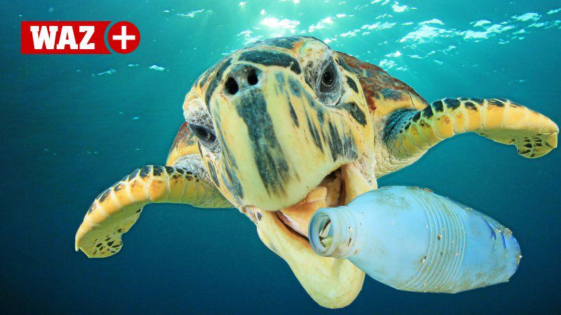 UN-Ozeankonferenz: Bald mehr Plastik als Fische im Meer?