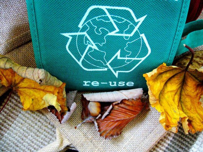 Die Marburger NPO TERRA TECH setzt sich u.a. für Recycling ein. Beim diesjährigen 50. Türöffner-Tag der Maus lädt sie zum gemeinsamen Aktiv werden ein. | (c) Pixabay