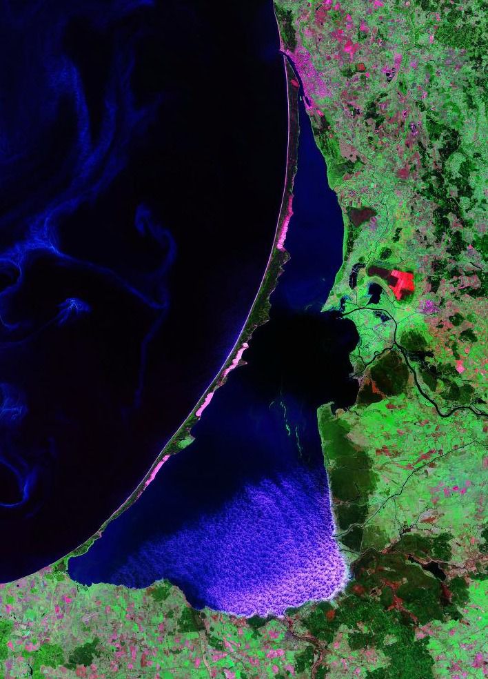 Schwimmende Inseln helfen Ostsee Lagunen gegen Überdüngung