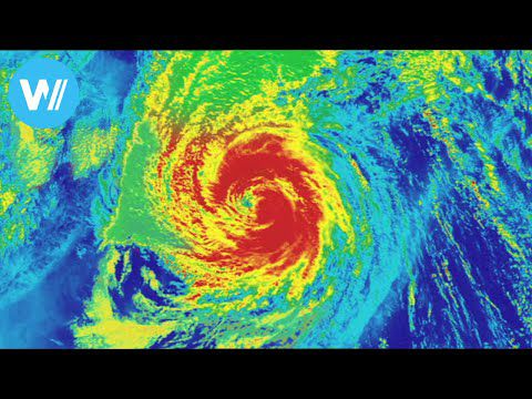 Der Weg des Taifuns - Wie können die tropischen Wirbelstürme besser vorhergesagt werden? arte 2008