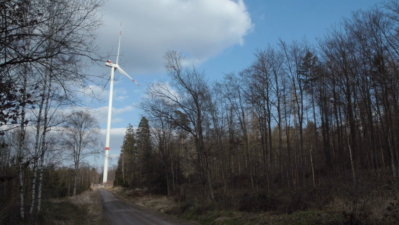 Windenergie: Müssen die deutschen Wälder dran glauben?
