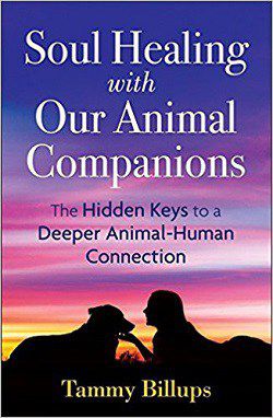 Front cover of book - Soul healing with our animal companions