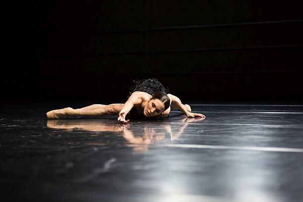 Ballett: 16x DER Sterbende Schwan – THE DYING SWANS