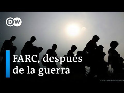 Lenta reinserción de los exguerrilleros de las FARC en Colombia