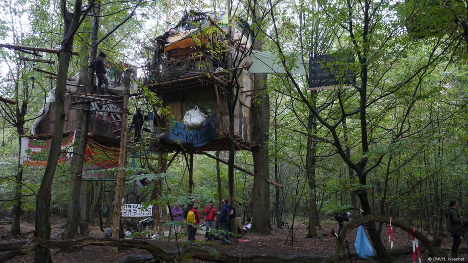 Räumung im Hambacher Forst: "Wir brauchen eine Denkpause"