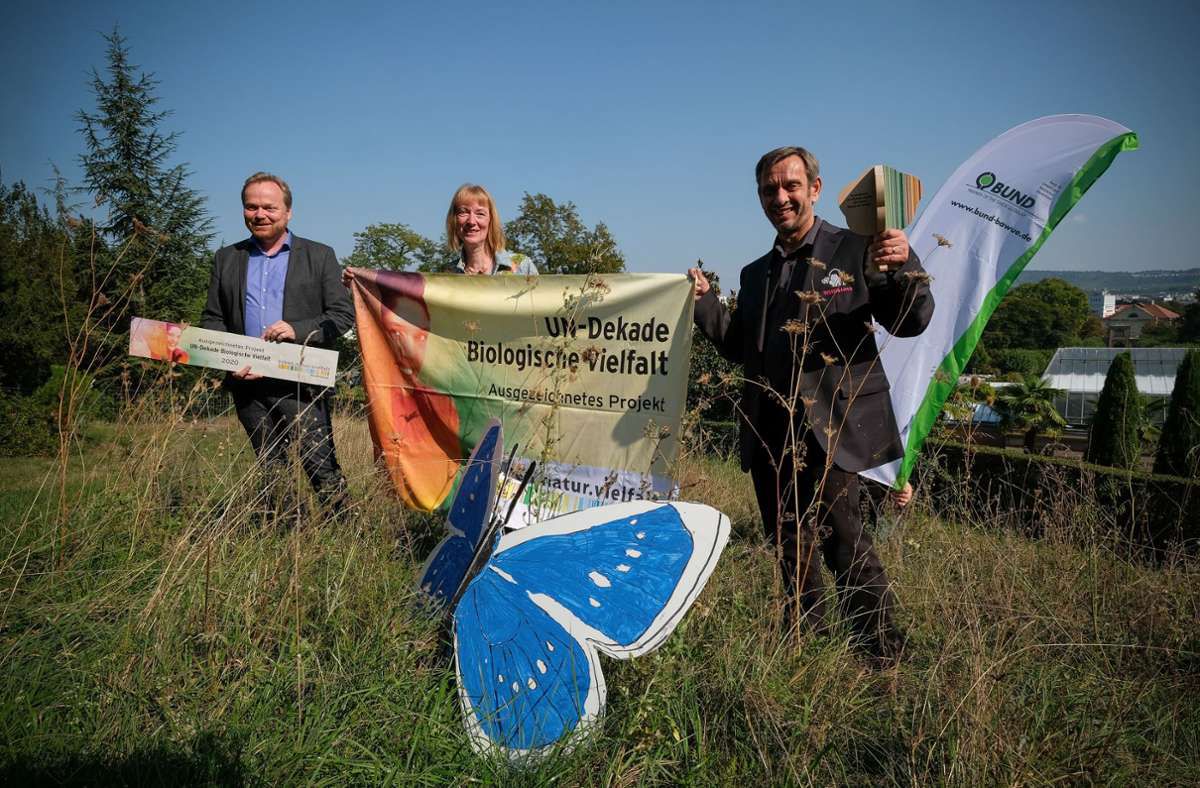 Aktiver Schmetterlingsschutz: UN-Auszeichnung für Stuttgarter Wildwiesenprojekt