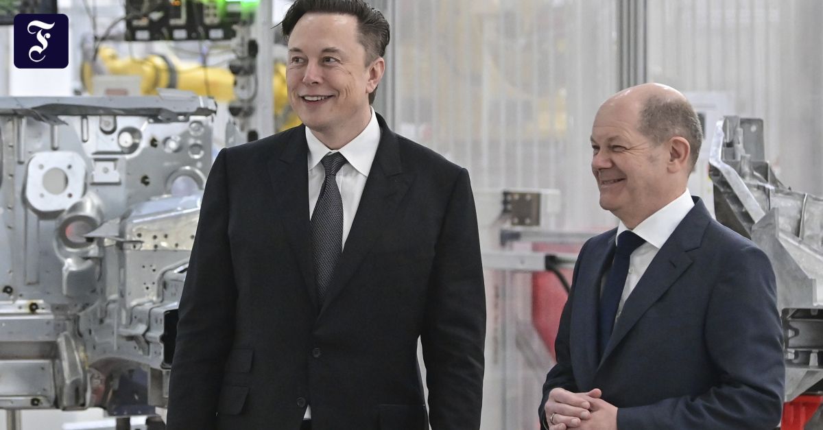 Extrawurst für Milliardär Musk? Tesla-Fabrik eröffnet trotz Umweltbedenken
