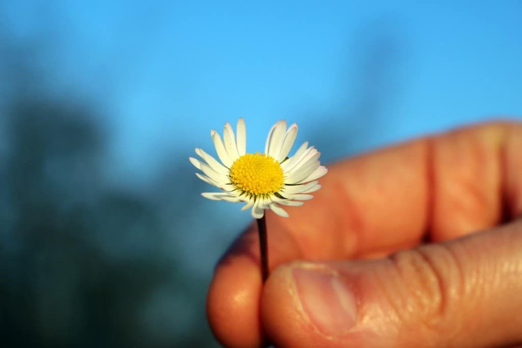 SELF-COMPASSION: 3 ways to be kind to yourself