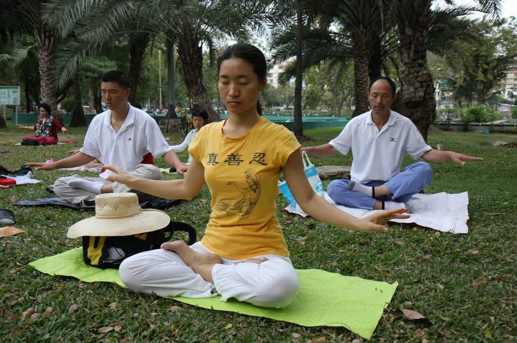 Falun Dafa the fifth meditation