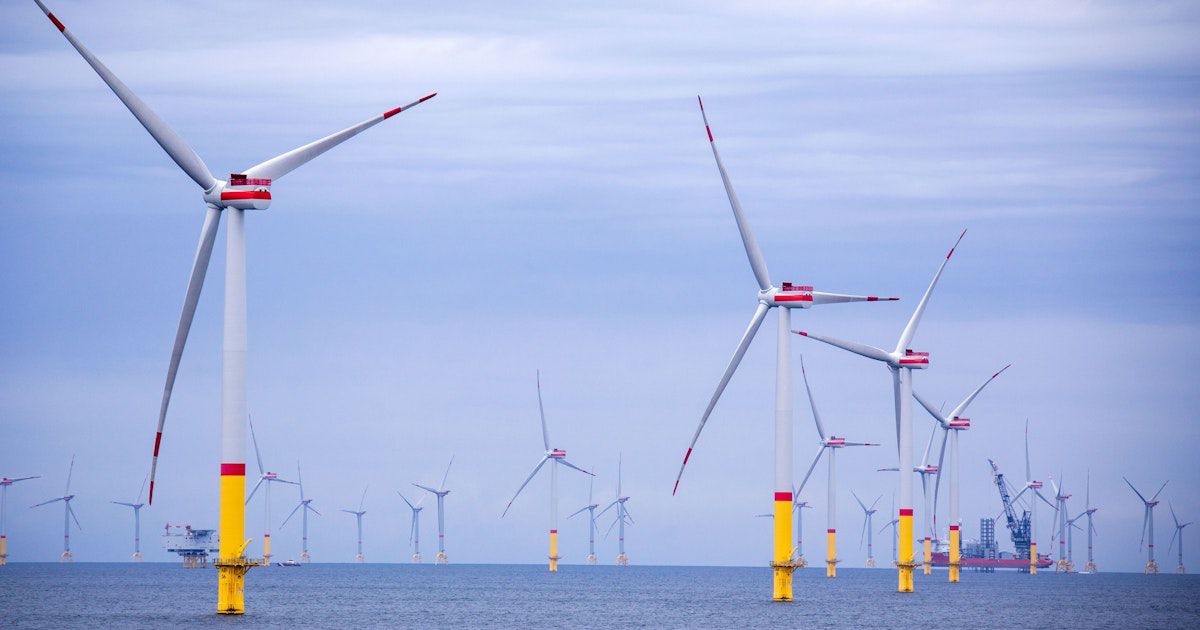 Windkraftausbau: Sind Klimaschutz und Naturschutz vereinbar?