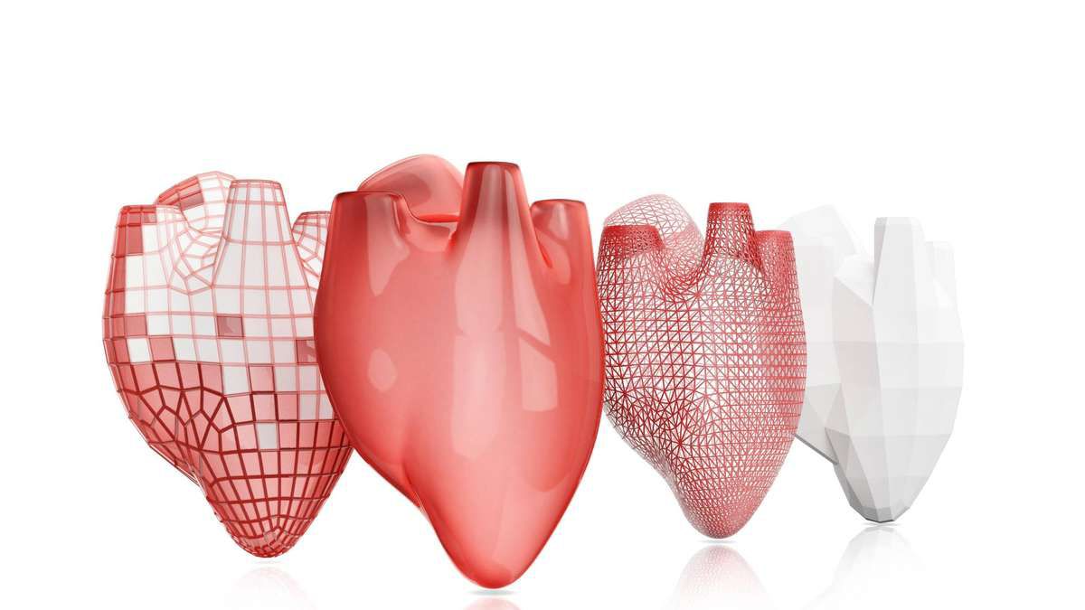 Organe aus dem 3D-Drucker: Was ist dran am Traum vom Bioprinting?