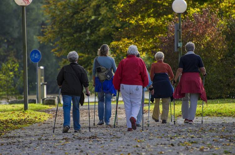 Group of seniors doing Nordic walking - Elderly care