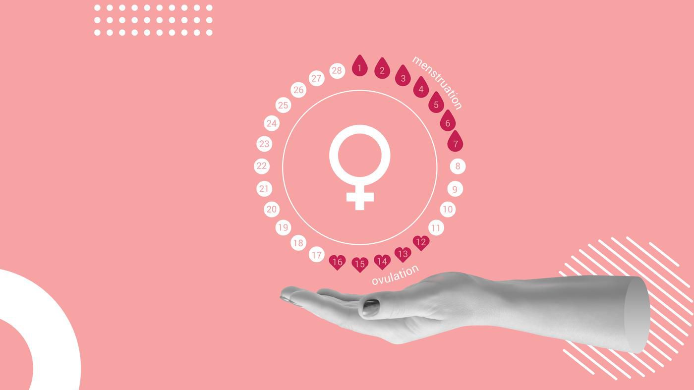 Zyklus-Tracking ohne Angst: Berlinerin entwickelt datensichere Menstruations-App