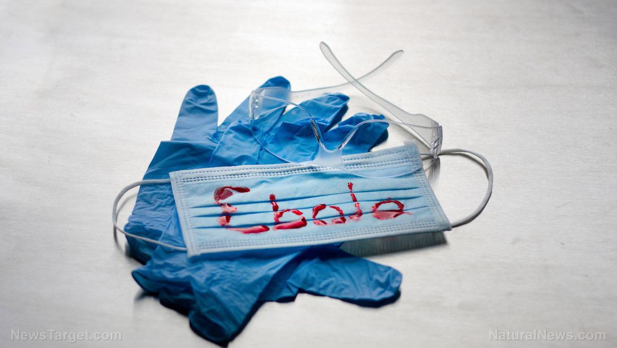 Charity FRAUD: Red Cross staff stole $6M donated to fight 2014 Ebola crisis - report