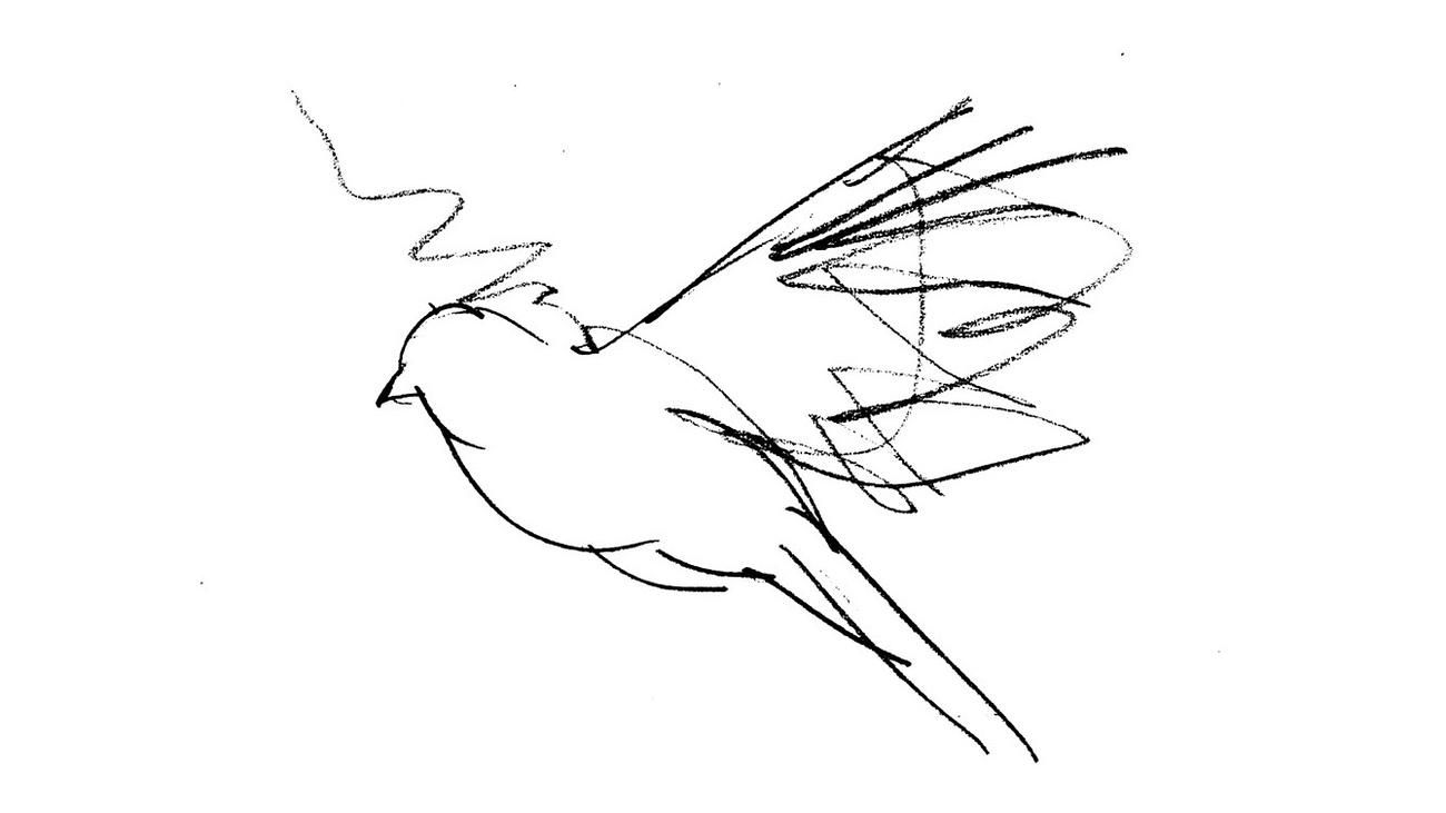 Martin Grasser: "Der Vogel erinnert uns an eine großartige Version des Internets"