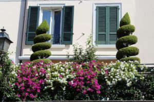 Terrasse u. Balkon gestalten - mit Pflanzen und Blumen ein leichtes.