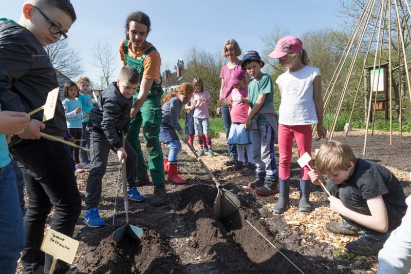 Vom Pflanzen bis zum Ernten Die Bremer Schulklasse nimmt am Kartoffelprojekt im FlorAtrium teil