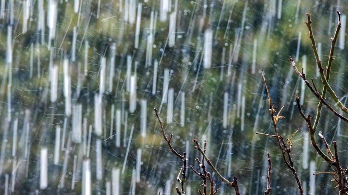 Klimawandel vorbeugen: So schützen Sie den Garten bei Hitze, Sturm und Starkregen