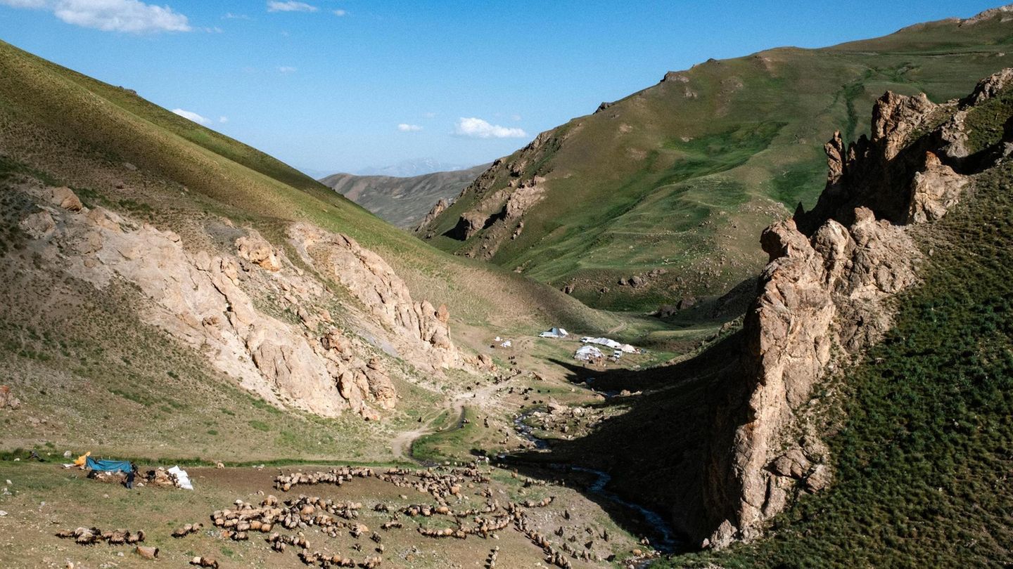 Hirten in Anatolien: Eine "Zeitreise in frühere Jahrhunderte" (stern+)