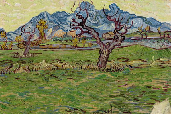 Van Gogh landscape goes up for auction