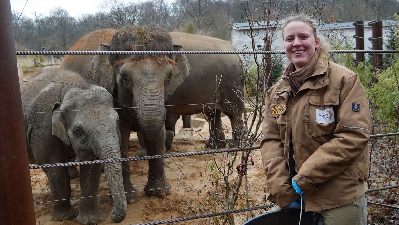 Berufseinstieg als Zootierpflegerin: "Ich mache viel mehr als Scheiße schaufeln"