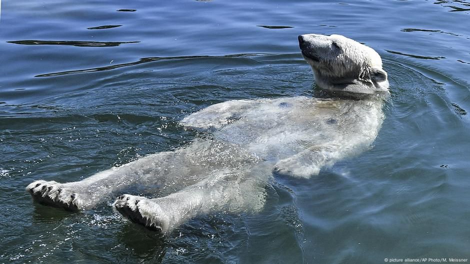 Tierische Hitze im Zoo