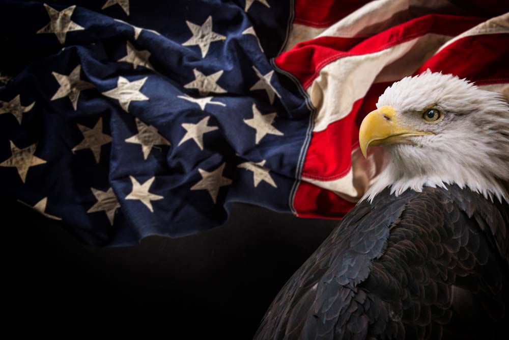 „ ... wenn der US-Adler seine Krallen auf ein anderes Land setzt"