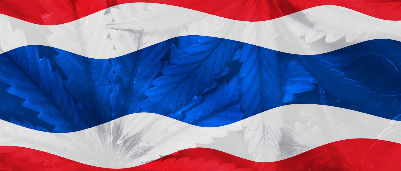 Thailand Legalizes Medicinal Cannabis in New Year's Gift to the People
