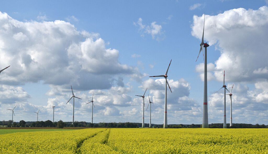 Windenergie: Kaum Recycling von Rotorblättern