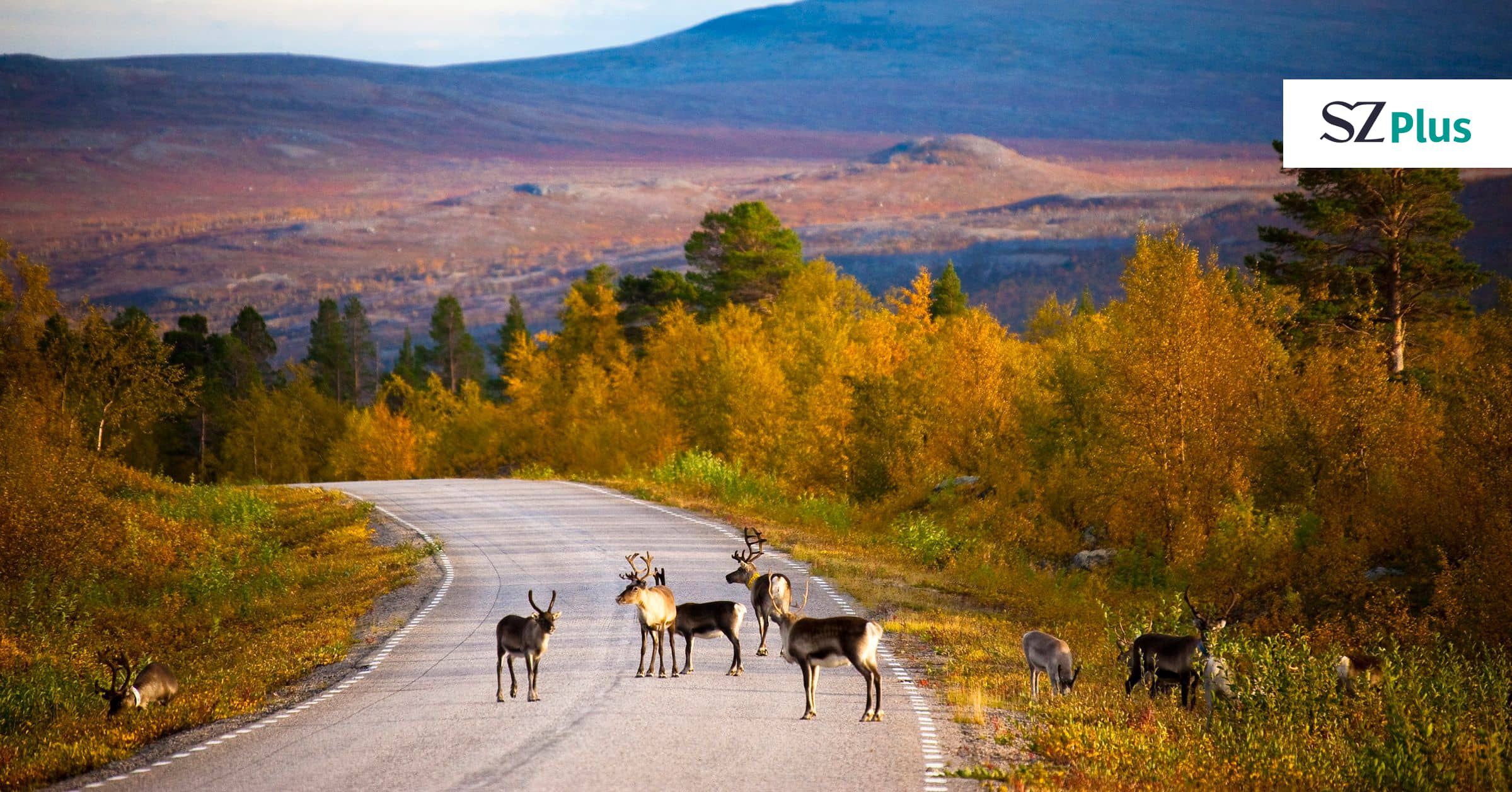 Lappland in Farbe - und fast ohne Mücken