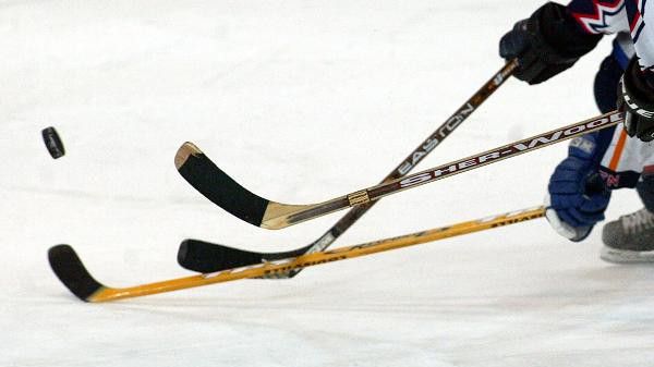 Eishockey: Löwen, Kassel und Bad Nauheim im Einsatz