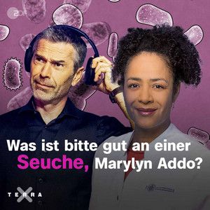 Was bitte ist gut an einer Seuche, Marylyn Addo?