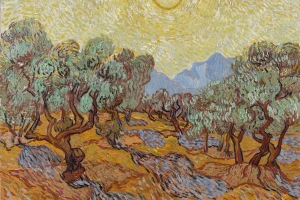 Van Gogh's Olive Groves reunited in Amsterdam