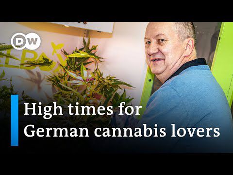 Germany legalizes smoking of cannabis at home and in public | DW News
