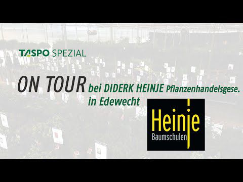 TASPO Spezial on Tour in der Baumschule Heinje: Größte Baumschul-Sommermesse des Nordens 2024