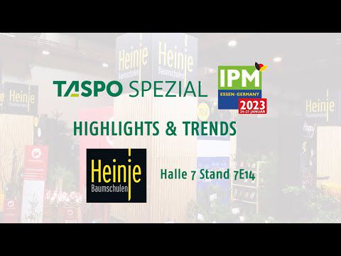 TASPO Spezial: Moderne innovative Sorten und Markenklassiker der Baumschule Heinje