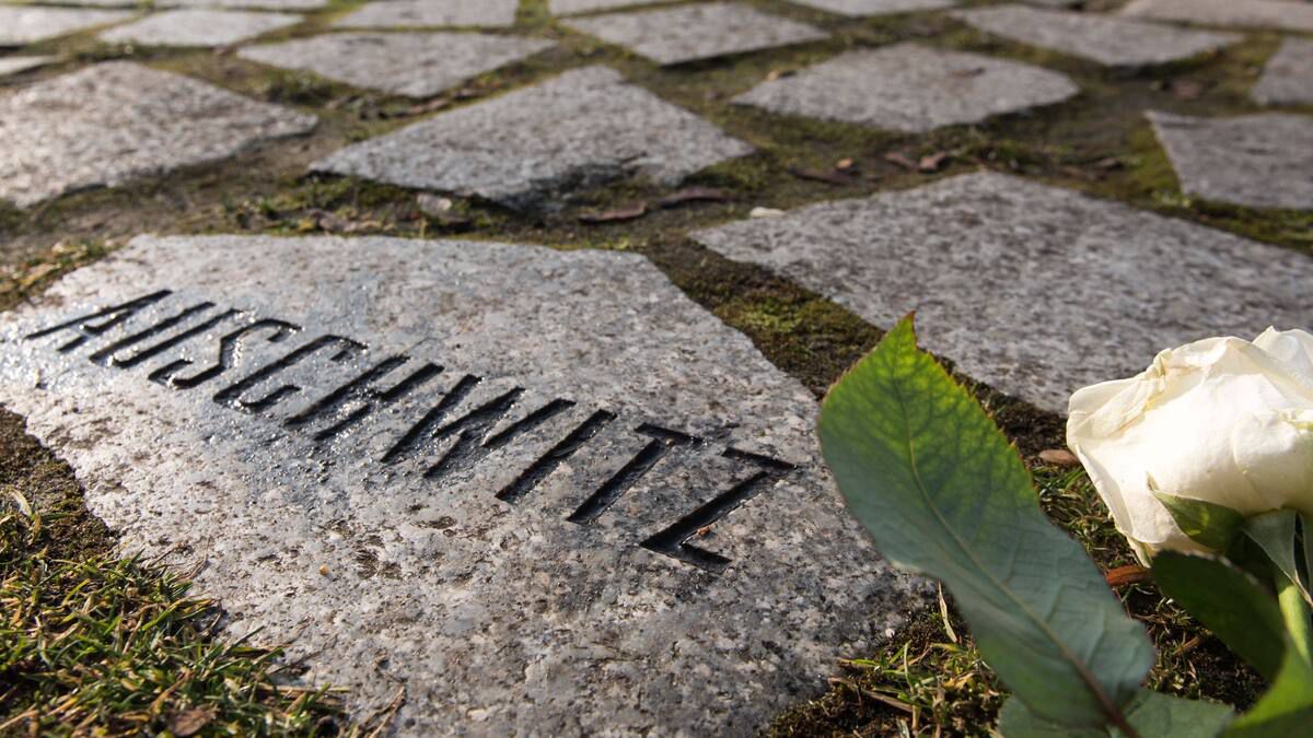 Erst Schreie, dann Stille: Wie die Nazis 4300 Sinti und Roma ermordeten