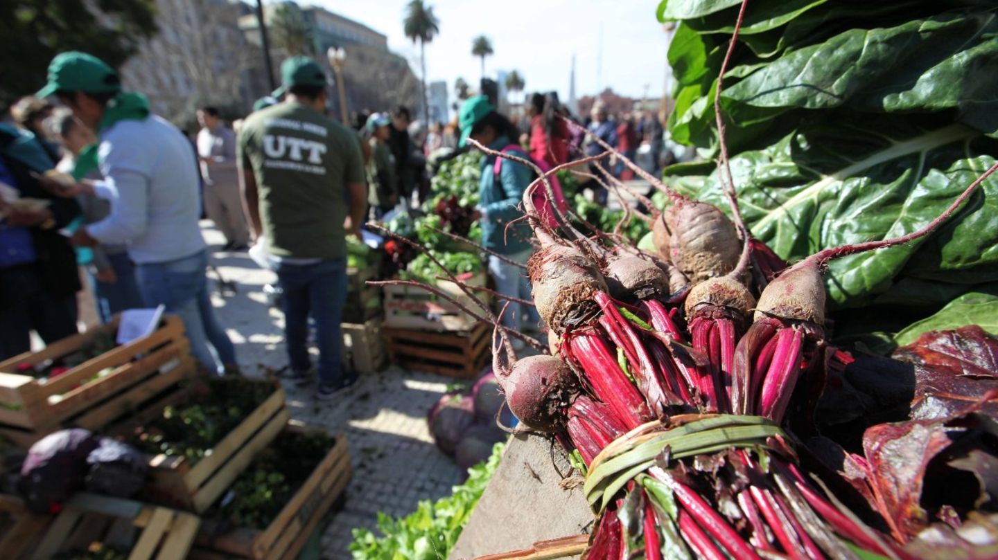 Argentinien - mit Gemüseanbau gegen die Inflation